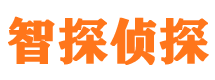 台山市调查公司